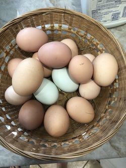 Farm Fresh Eggs