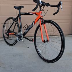 Denali Road Bike PRICE Is FIRM 