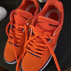 Nike SB Ishod Shoes