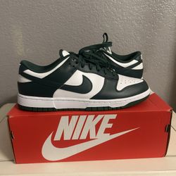 New Michigan Dunks (MEN’s 10.5)