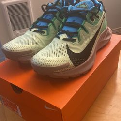 Nike Pegasus Trail 2 , Size 11
