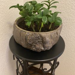 Fresh Flowers With Stand 