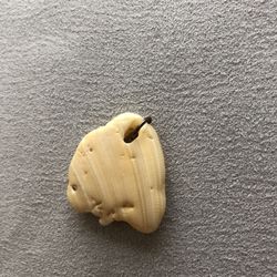 Sea Shell Pendant
