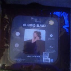 Dream Theory Weighted Blanket