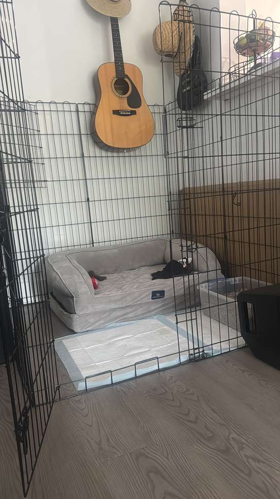 Wire Foldable Dog & Cat Exercise Pen, Black, 6 Panels