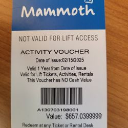 Mammoth Mountain Activity Voucher 