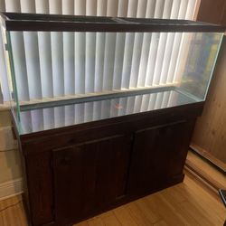 55 Gallon Fish Tank + Stand