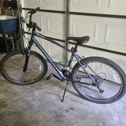 Schwinn FordHam Trail Bike ( L ) 
