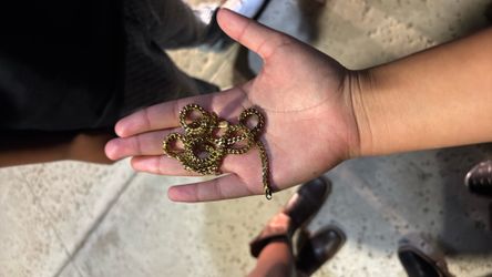 14k chain