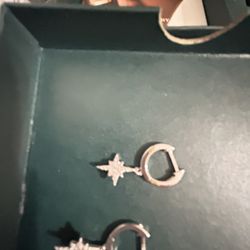 Pavoi Earrings, Silver 