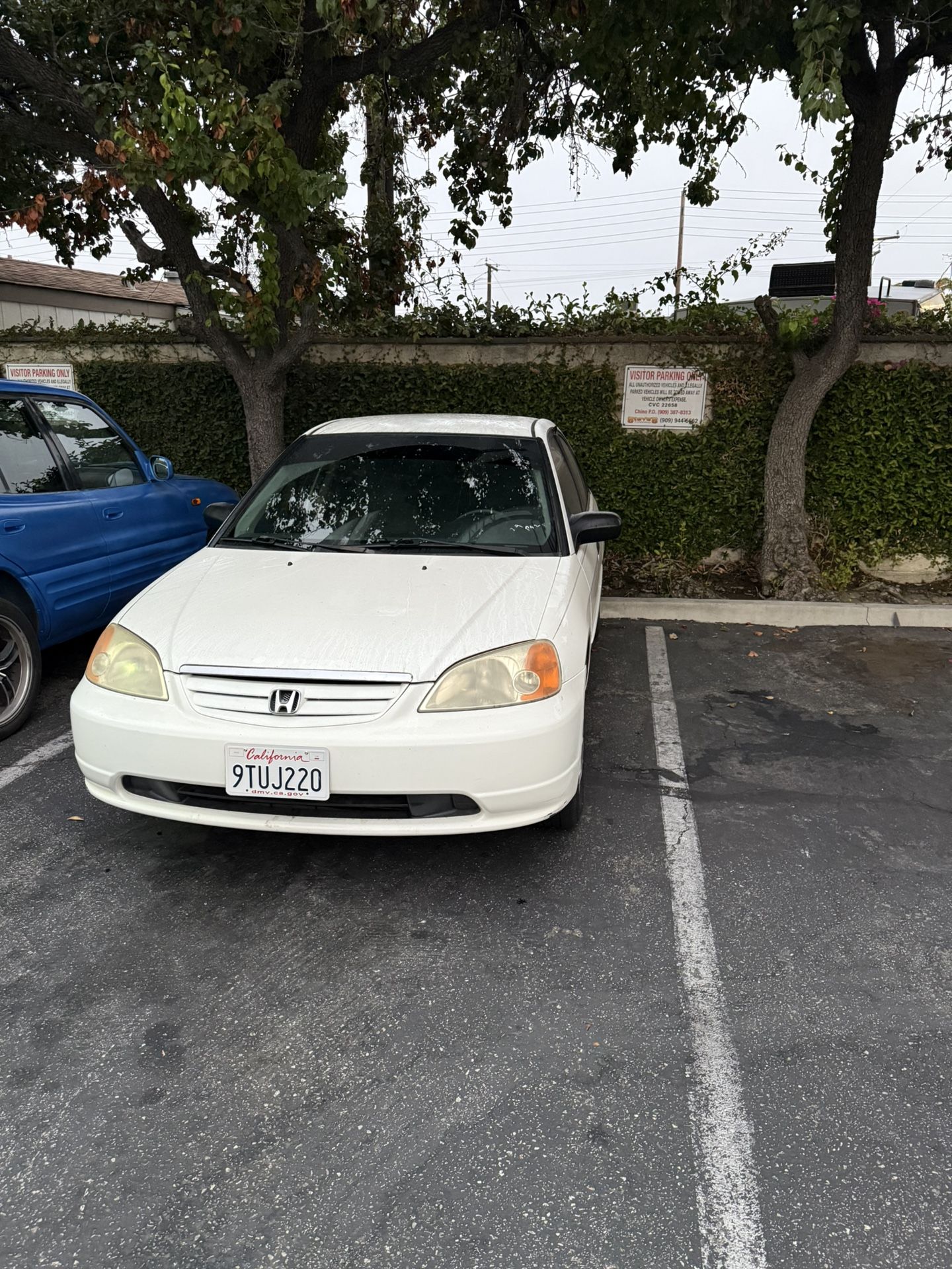 2001 Honda Civic