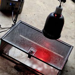 Reptile Tank + Heat Lamb