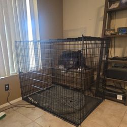 Dog Crate  Xtra large used