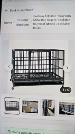 Metal dog cage