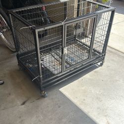 Dog Kennel 