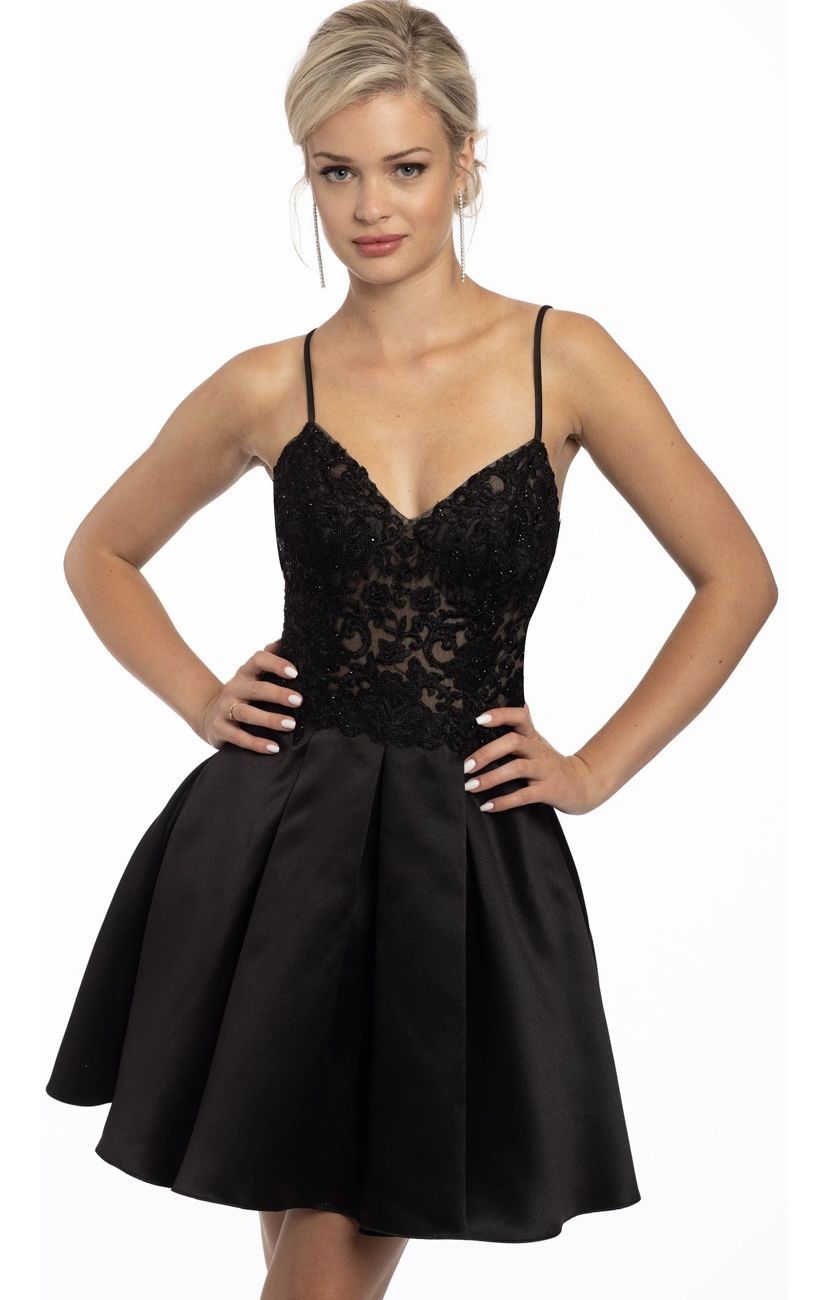 Taffeta Lace Corset Fit and Flare Dress