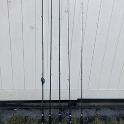 Fishing Rods 