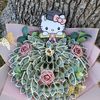 @money_blooms 
