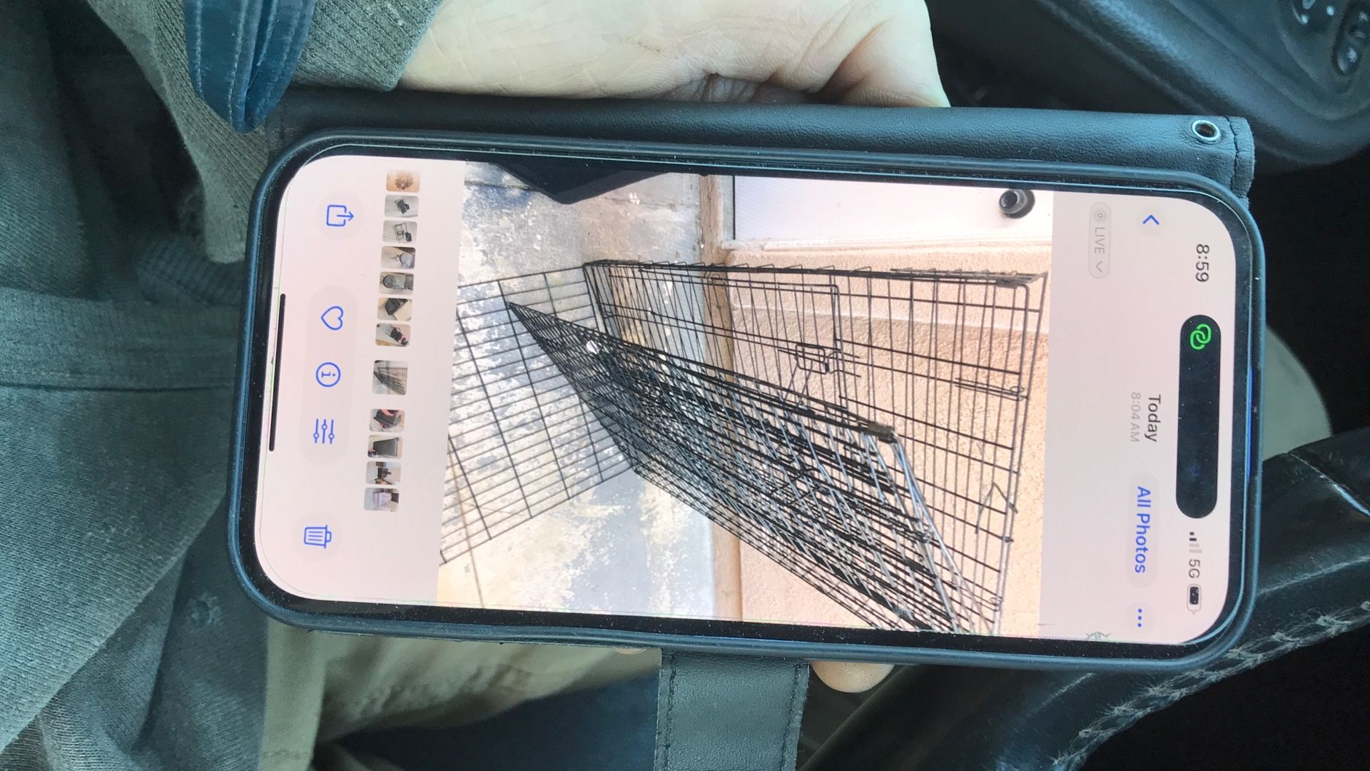 Large Dog Crate Need Tray