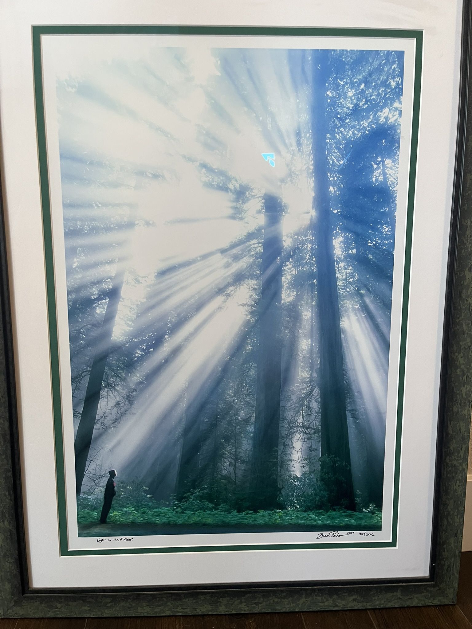 “ light In The Forest” signed print by Brad perks