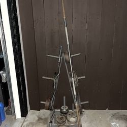 233 lb Weights w Deadlift Bar Curl Bar Weight Tree for Sale in Riverside County CA OfferUp