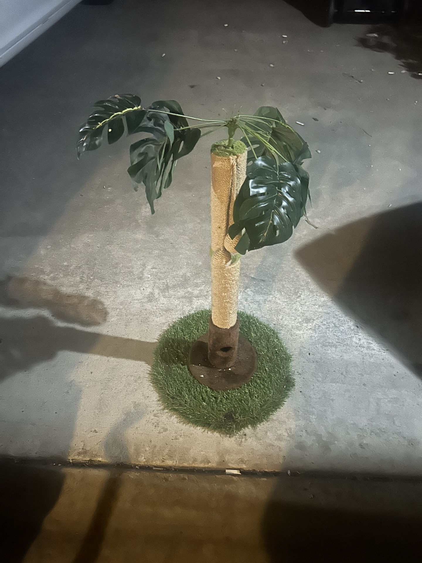 Palm tree cat Scratcher