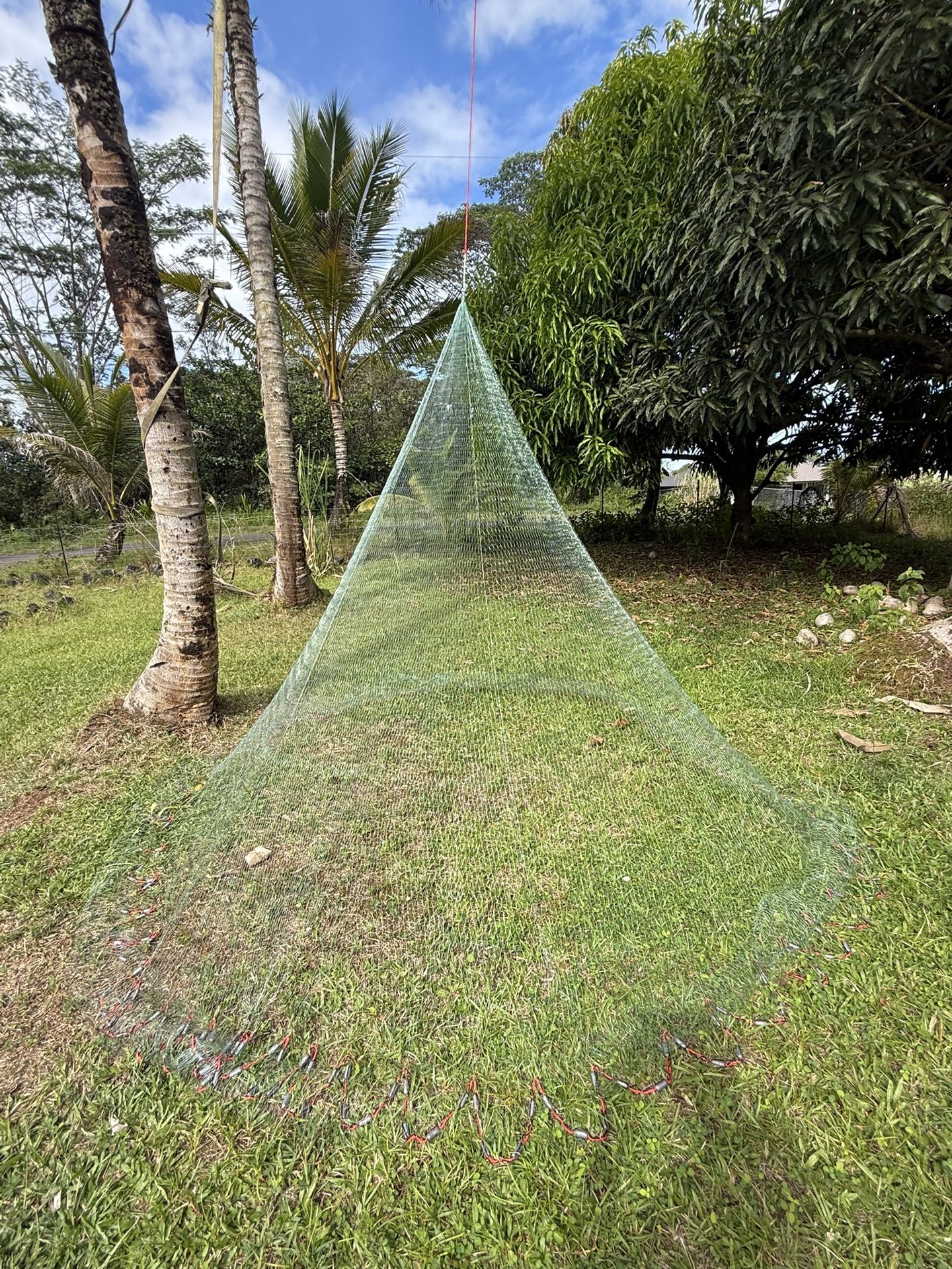 Throw NETS Today And “eyes