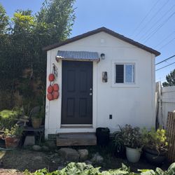Cozy Shed, Guest Room, Adult Kids Room, Office Shed
