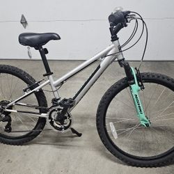Nishiki 24 Youth Bike Barely Used