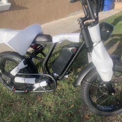 BRAND NEW BLUVALL ELECTRIC BIKE