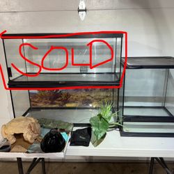  Reptile Enclosures And Accessories 