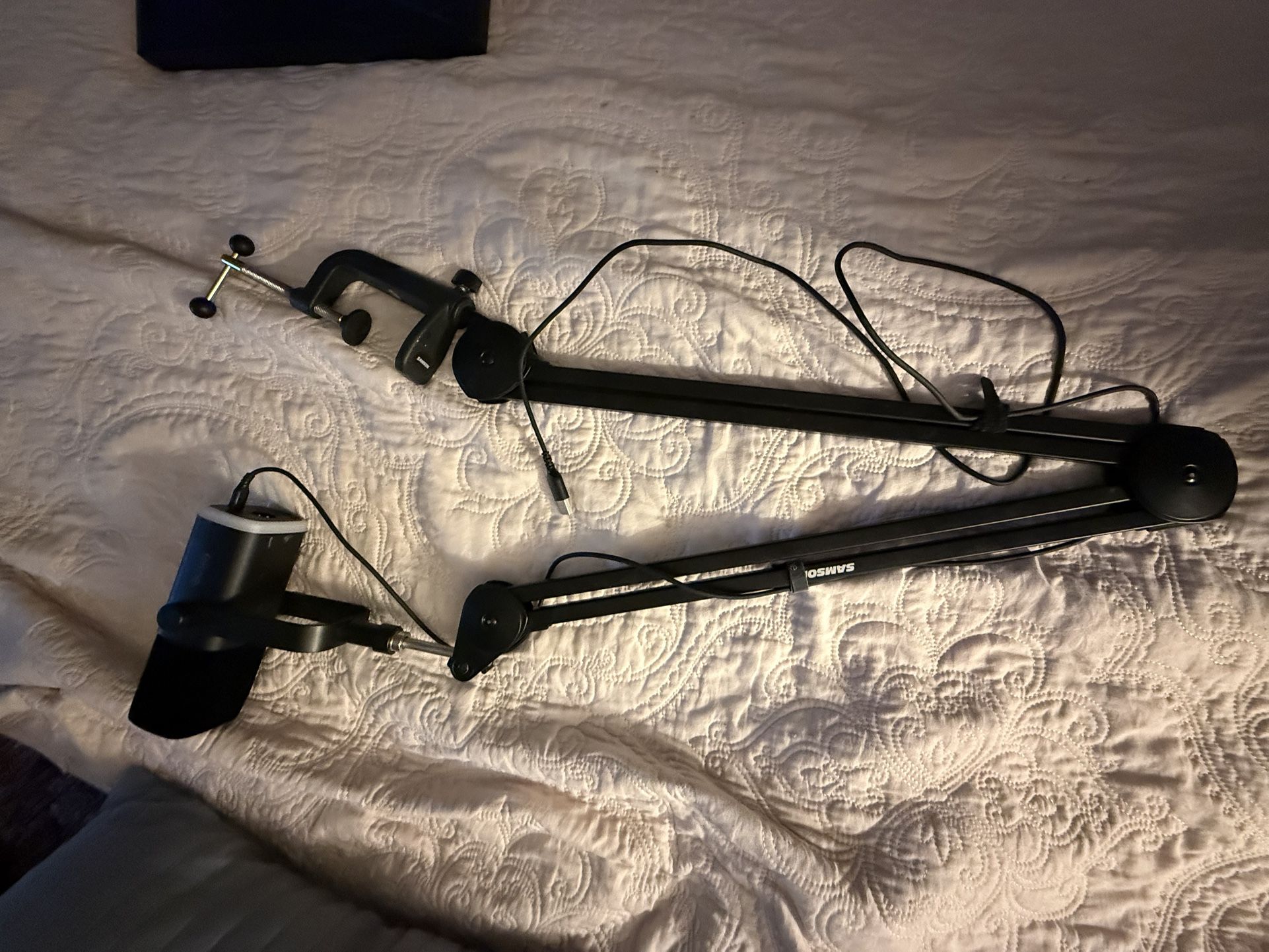 Microphone With Adjustable Arm