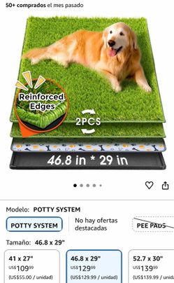 Dog grass