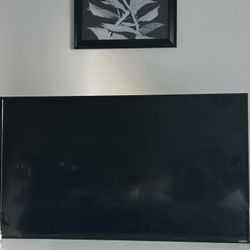 Vizio 50 Inch  4K Flat Screen TV 