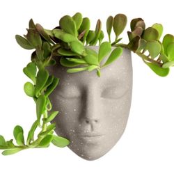 Bossa Linda Beige Wall Face Pot/Planter-Tranquilo Design ✨️ BoHo Decor