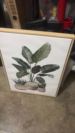 Canvas frame art
