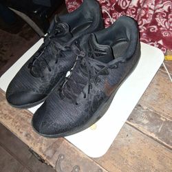 Kobe 6 Size 11