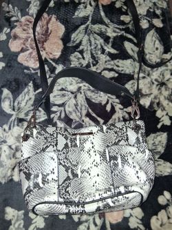 Steve Madden
