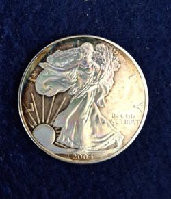 RARE 2004 Holographic Silver Eagle 