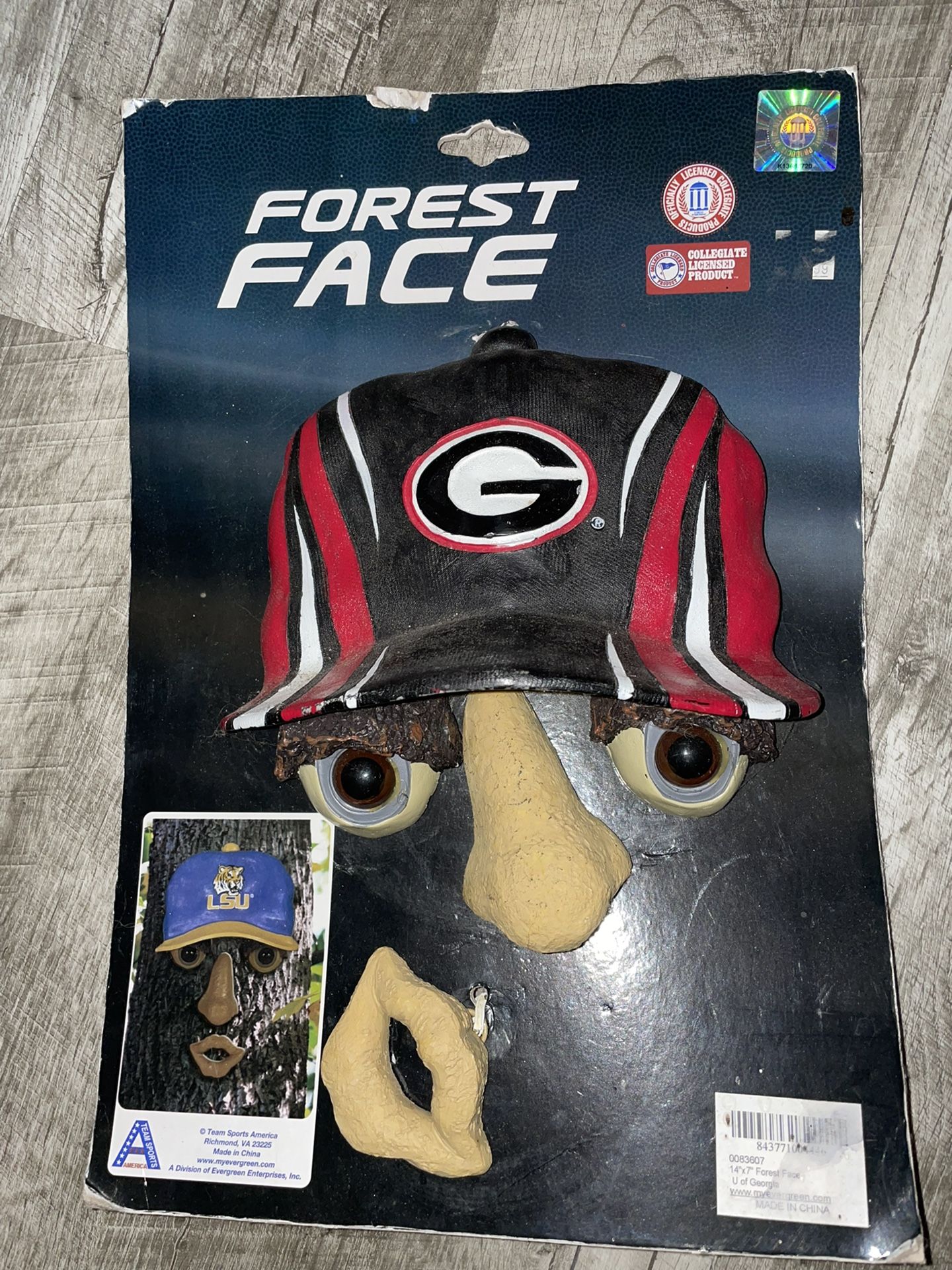 Forest Face University Of Georgia