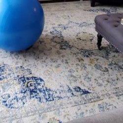 Living Room Rug 