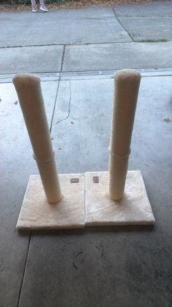 Free cat scratching posts (lightly used)