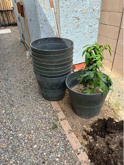 Potting plants containers