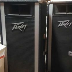 Vintage Peavey Speakers