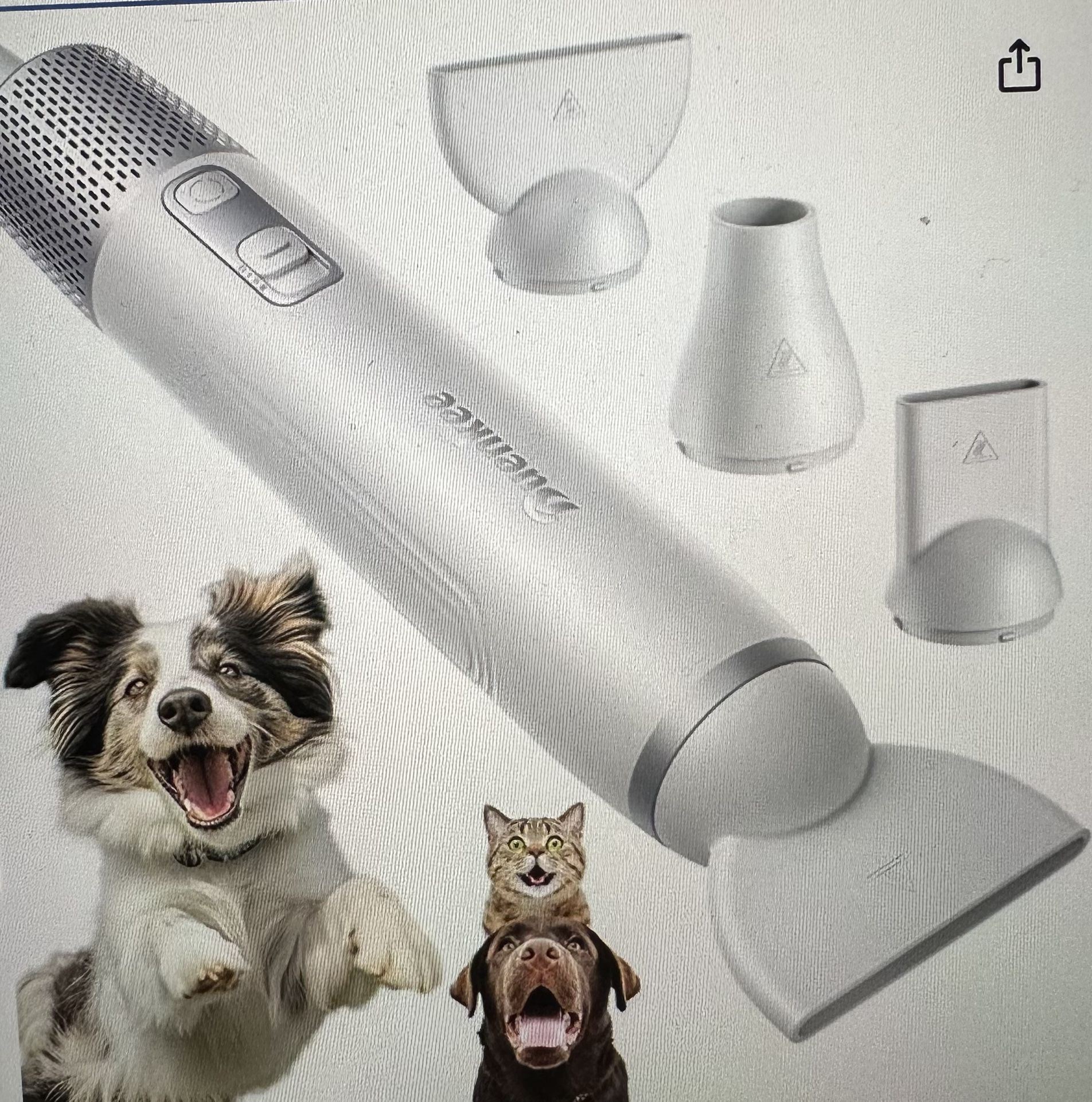Blow Dryer For Pet Grooming