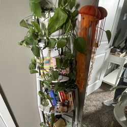 Corner Bookshelf! 