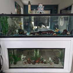 Double Aquariums for Sale