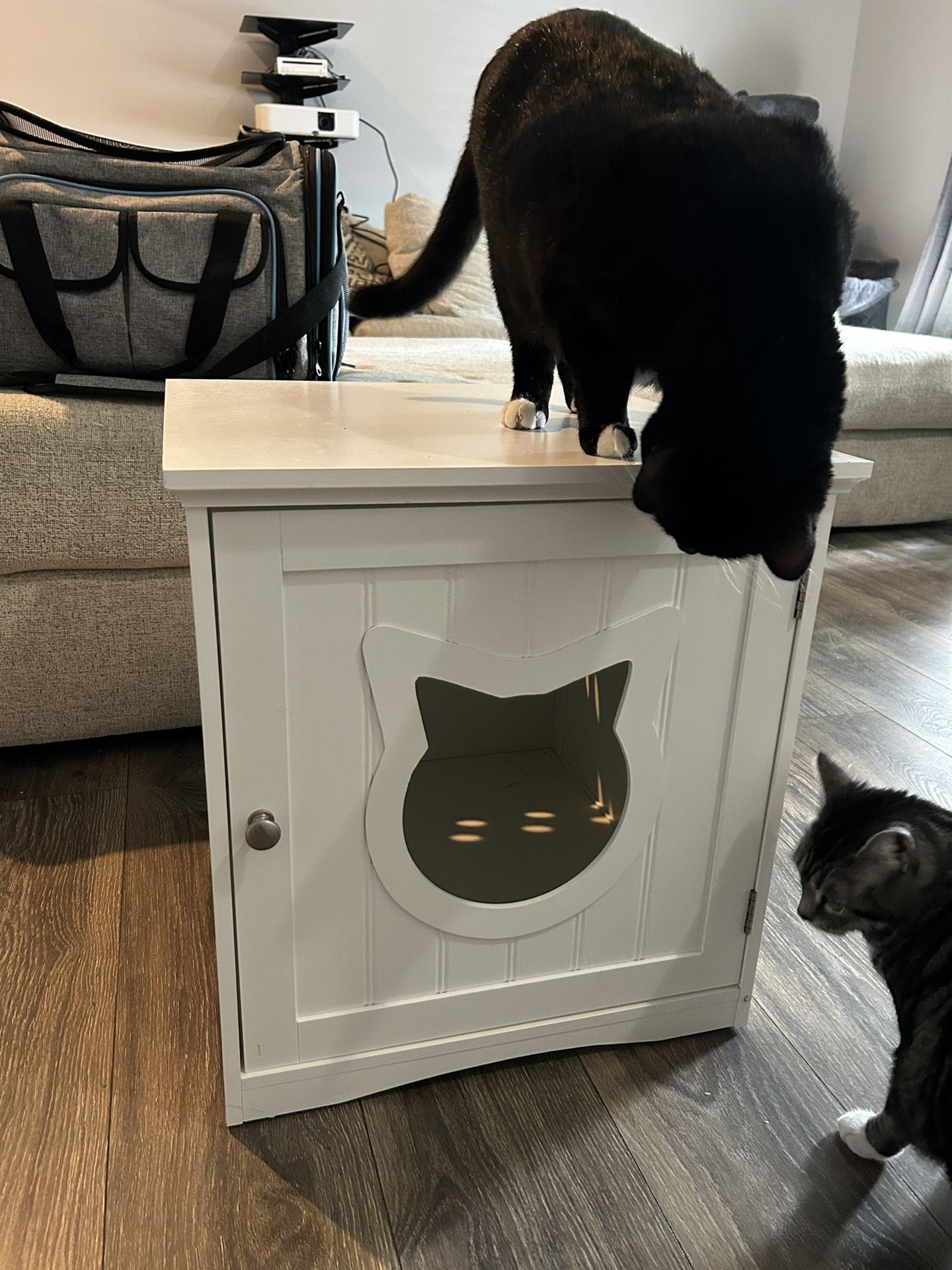 Litter Box Cabinet