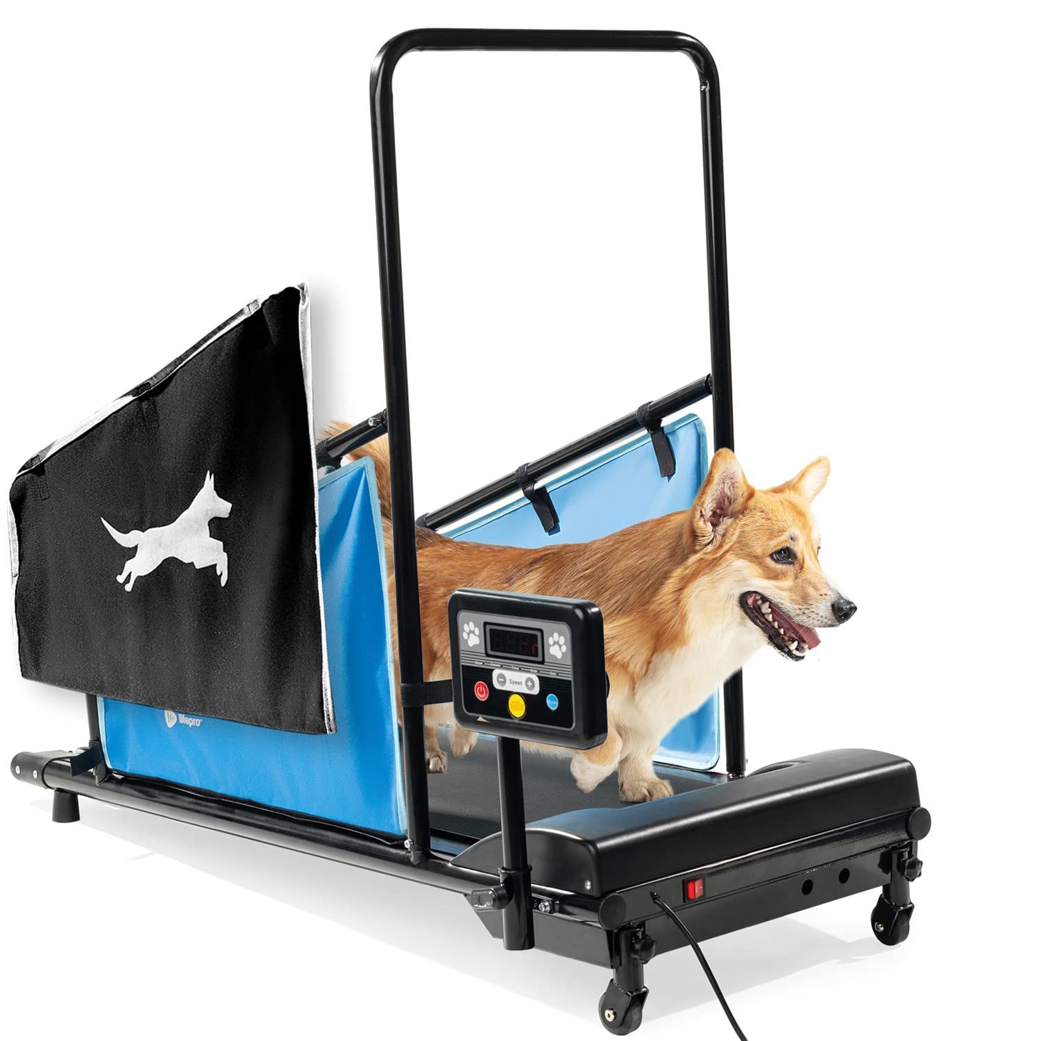 Dog Treadmill