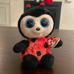 Ty Beanie Boos Izzy the Ladybug Excellent Condition NWT 6” tall Blue Eyes 